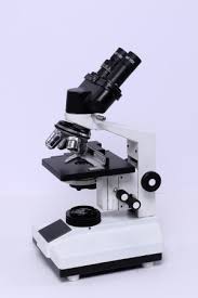 Binocular microscope